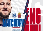 开云体育APP下载-匈牙利队拼尽全力，一搏必胜的简单介绍