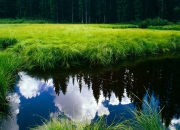 开云体育在线-欧冠之夜，努涅斯一剑封喉，皇马险胜莱比锡红牛，用实力打破质疑