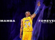 开云体育官方网站-塞内加尔提前终结悬念，马赛见证努涅斯用实力为自己正名