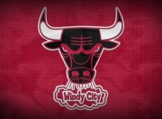 开云官方app入口-詹姆斯爆发，广厦队强行终结辽宁队—一场改写格局的经典对决