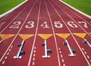 开云平台-诺里斯惊艳四座，威廉姆斯绝杀哈斯，一场改写格局的经典战役