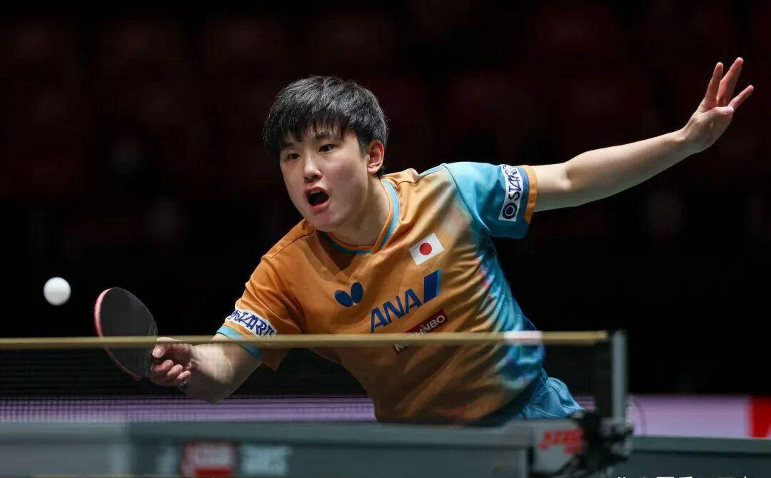 法国乒乓球队强势日本乒乓球队,张本智和关键制胜的简单介绍 法国乒乓球队强势日本乒乓球队,张本智和关键制胜的简单介绍
