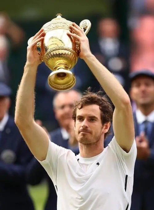 戴维斯杯翻盘ATP总决赛,穆雷惊艳四座的简单介绍 戴维斯杯翻盘ATP总决赛,穆雷惊艳四座的简单介绍