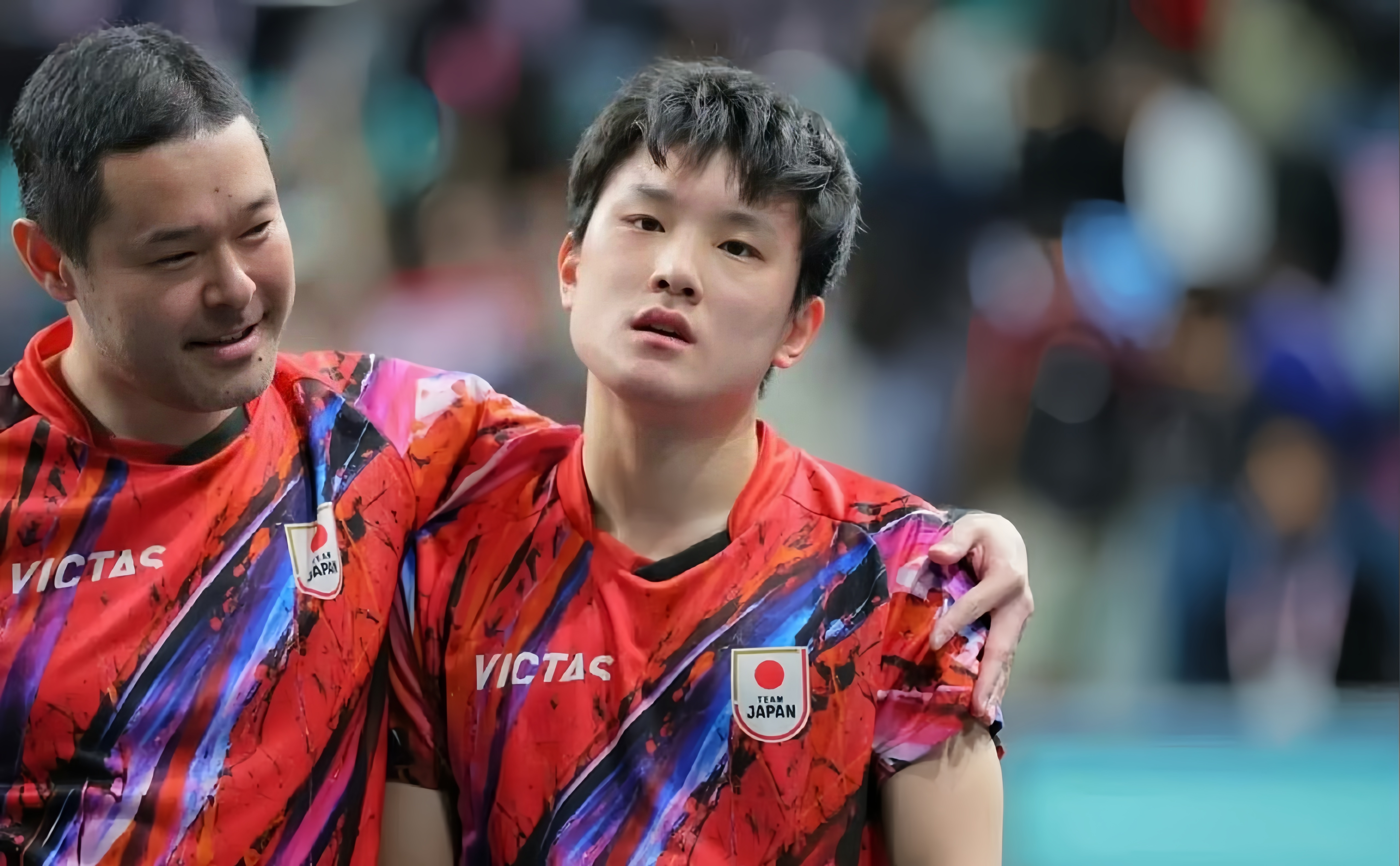 法国队横扫日本队，张本智和统治全场的简单介绍