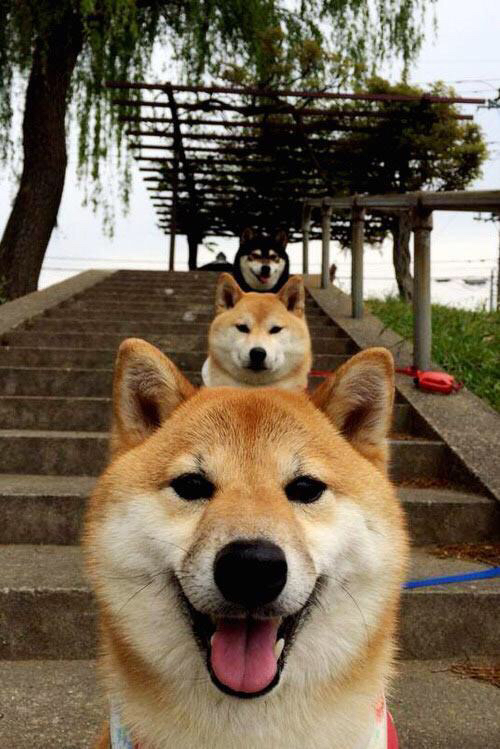 莱奥硬仗之王,爱尔兰正面击溃加纳,诠释足球场上的唯一性